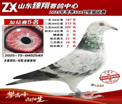 ɽ������510����5��