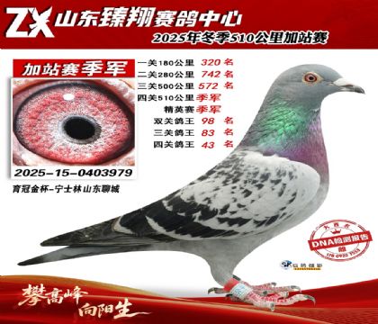 ɽ������510���＾��