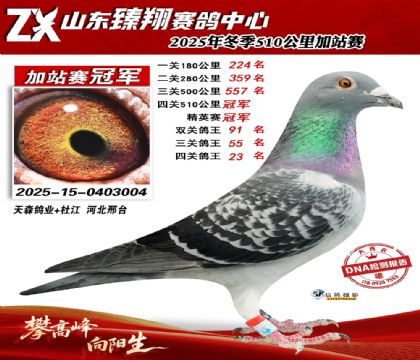 ɽ������510����ھ�