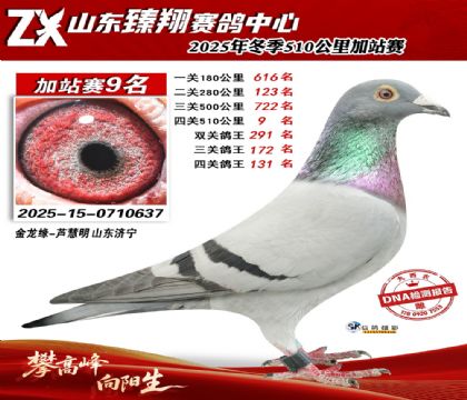 ɽ������510����9��