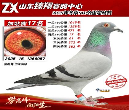 ɽ������510����17��