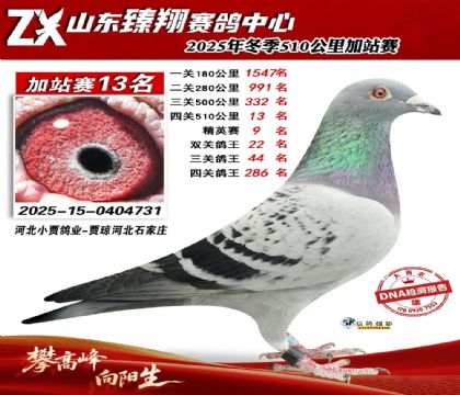 ɽ������510����13��