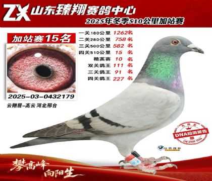 ɽ������510����15��