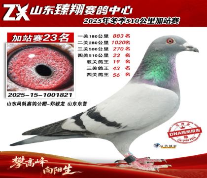 ɽ������510����23��