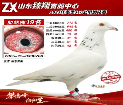 ɽ������510����19��