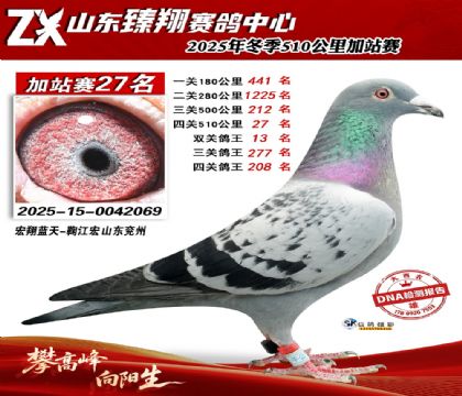 ɽ������510����27��