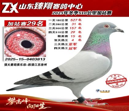 ɽ������510����29��