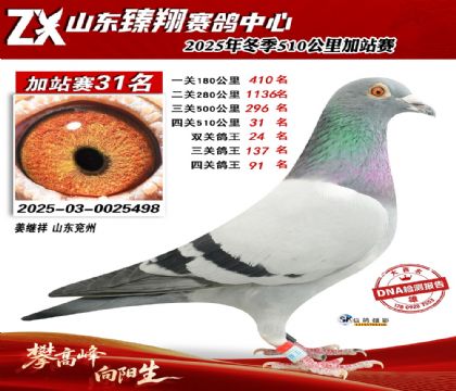 ɽ������510����31��