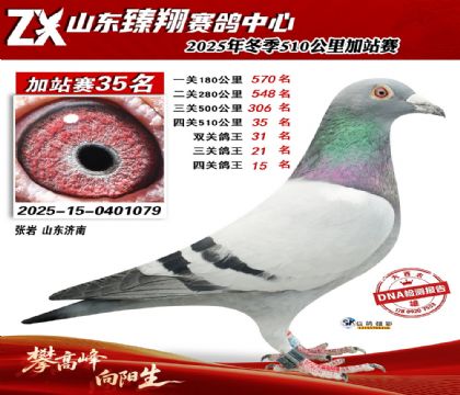 ɽ������510����35��