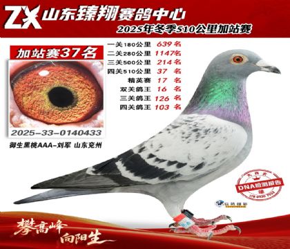 ɽ������510����37��