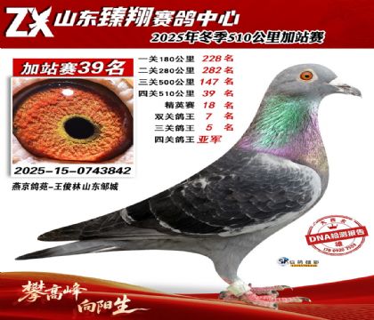 ɽ������510����39��