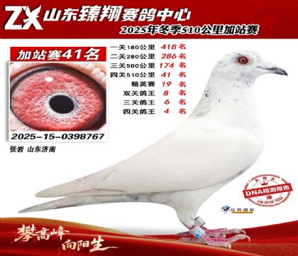 ɽ������510����41��