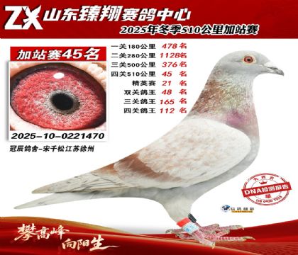 ɽ������510����45��