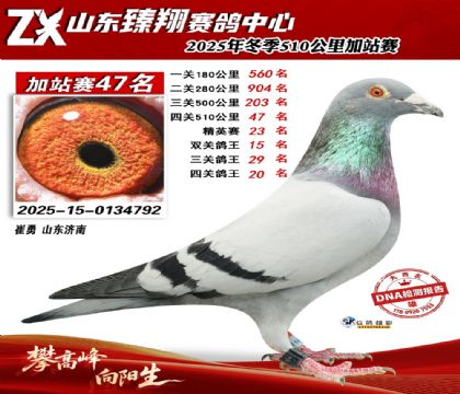 ɽ������510����47��