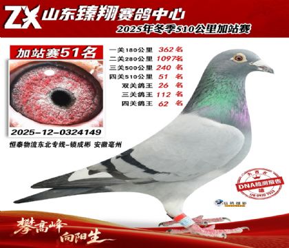 ɽ������510����51��