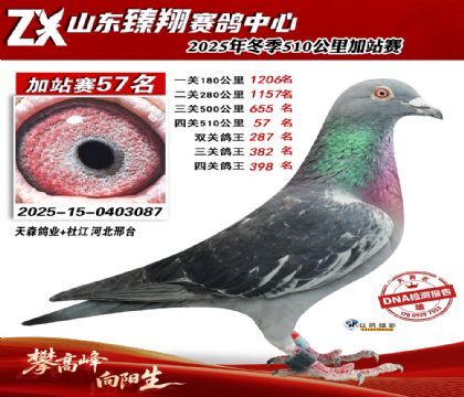 ɽ������510����57��