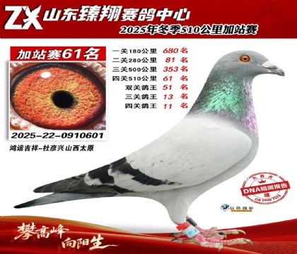 ɽ������510����61��