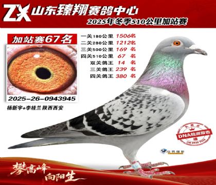 ɽ������510����67��