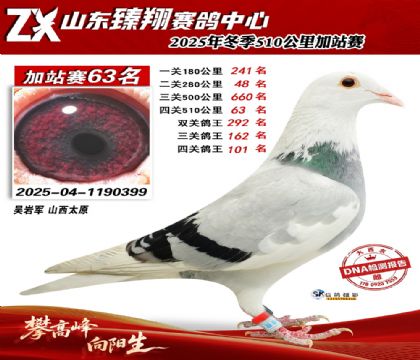 ɽ������510����63��