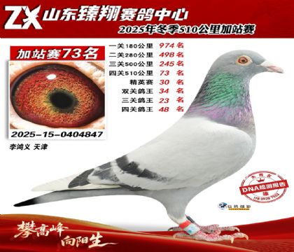 ɽ������510����73��