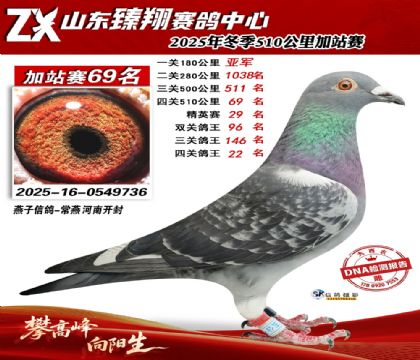 ɽ������510����69��