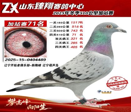 ɽ������510����71��