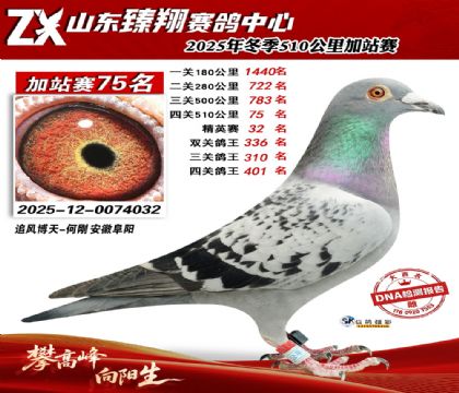 ɽ������510����75��