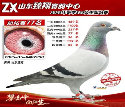 ɽ������510����77��