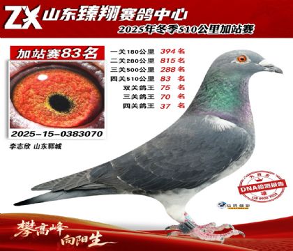 ɽ������510����83��