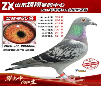 ɽ������510����85��