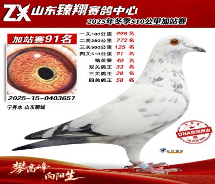 ɽ������510����91��