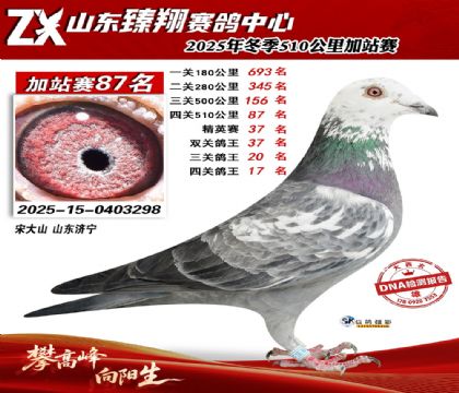 ɽ������510����87��