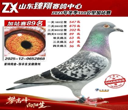 ɽ������510����89��