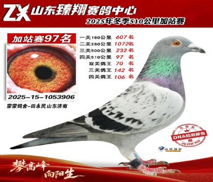 ɽ������510����97��