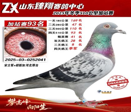 ɽ������510����93��