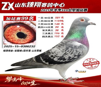 ɽ������510����99��