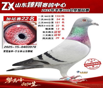 山东臻翔510公里22名