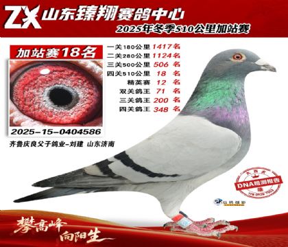 山东臻翔510公里18名