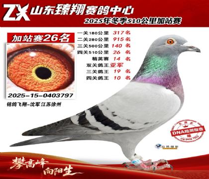 山东臻翔510公里26名