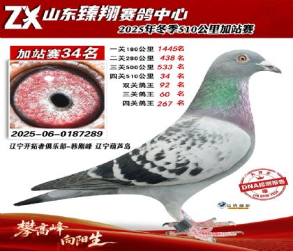 山东臻翔510公里34名