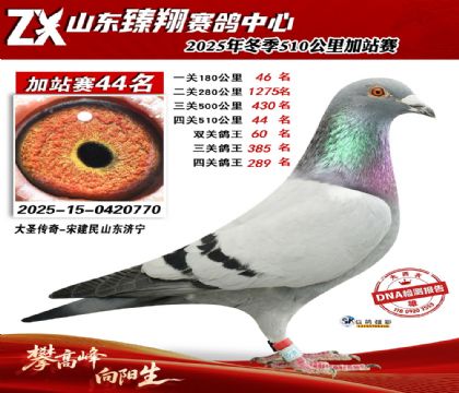 山东臻翔510公里44名