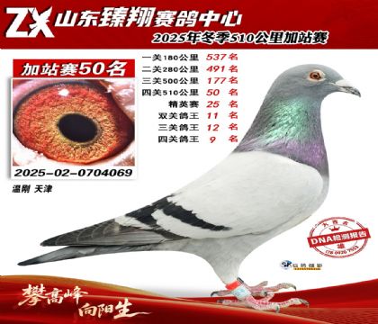 山东臻翔510公里50名