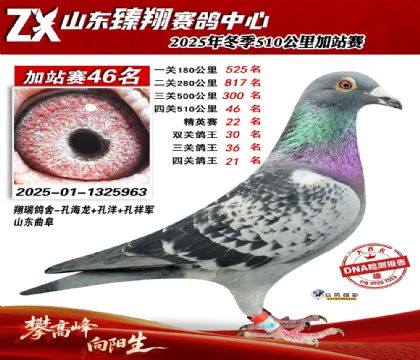 山东臻翔510公里46名