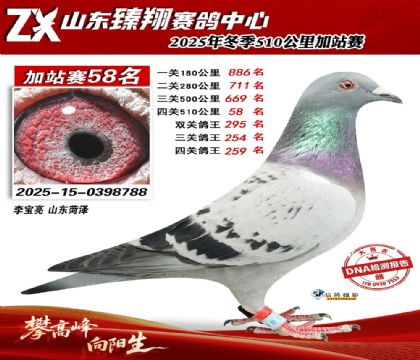 山东臻翔510公里58名