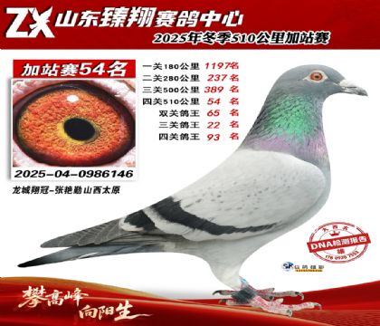 山东臻翔510公里54名