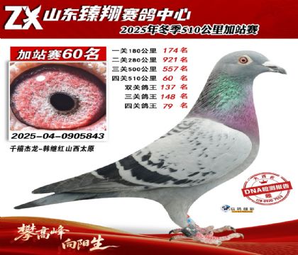 山东臻翔510公里60名