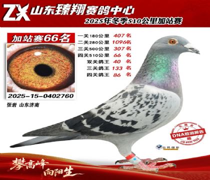 山东臻翔510公里66名