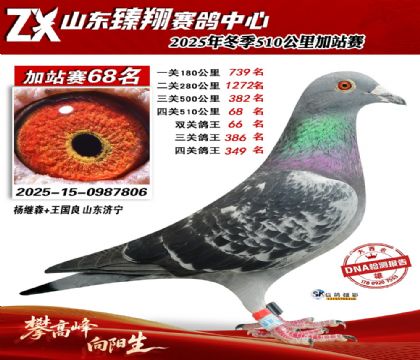 山东臻翔510公里68名