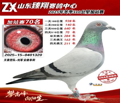 山东臻翔510公里70名