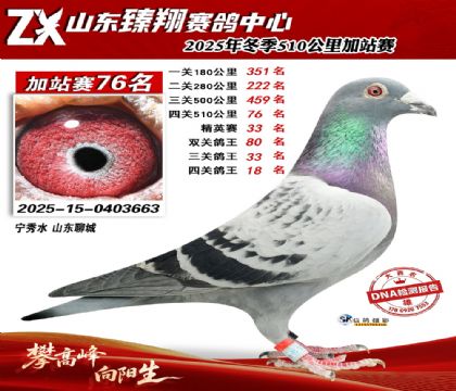 山东臻翔510公里76名